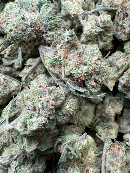 1 Pound of Purple LSD THCA (Small) FL Fulfillment Center