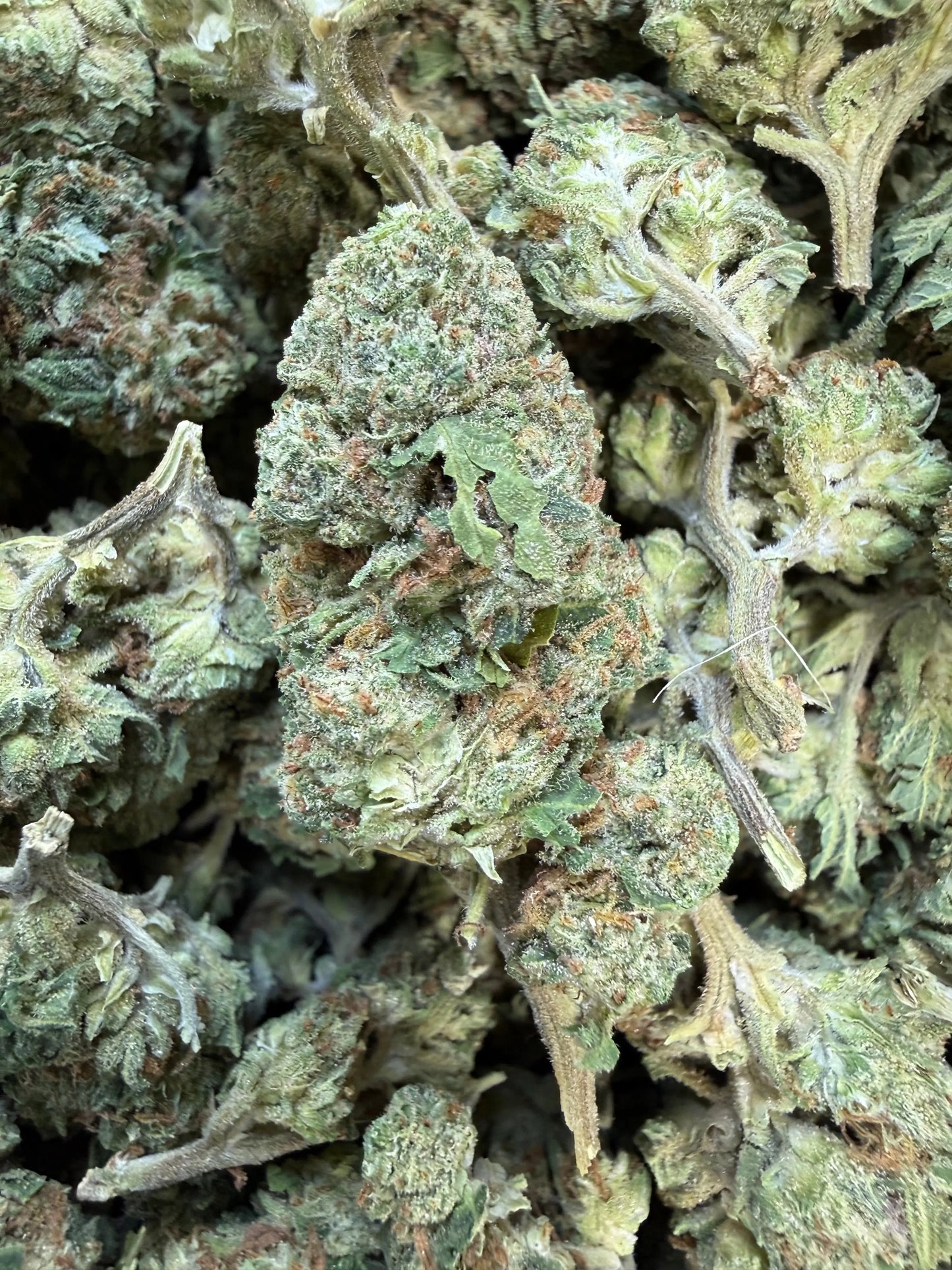 1 Pound of Strawberry Gelato THCA FL Fulfillment Center