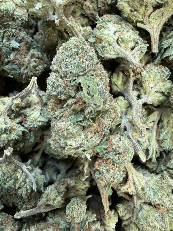 1 Pound of Strawberry Gelato THCA Flower