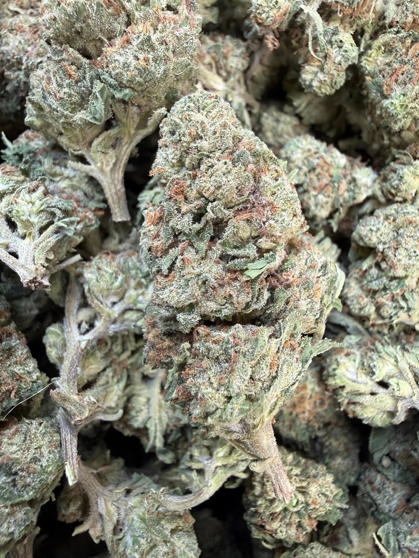 1 Pound of Strawberry Gelato THCA FL Fulfillment Center