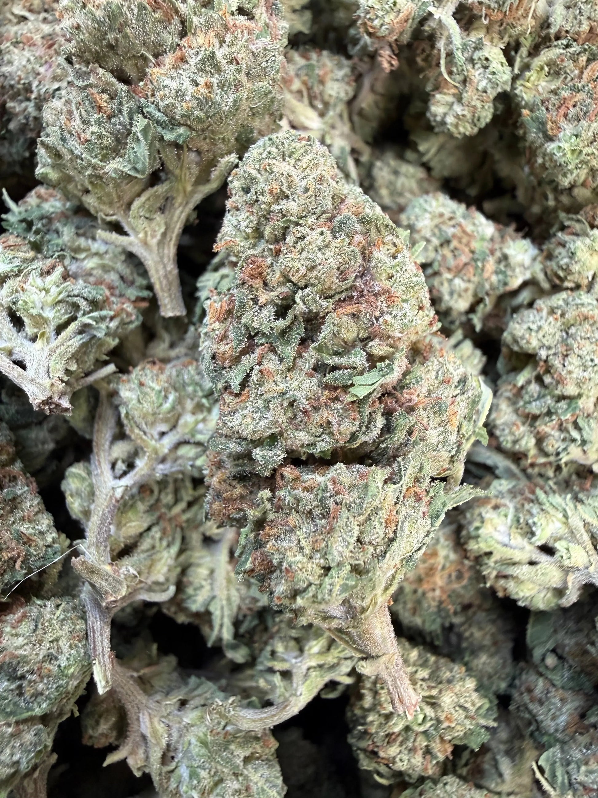 1 Pound of Strawberry Gelato THCA FL Fulfillment Center
