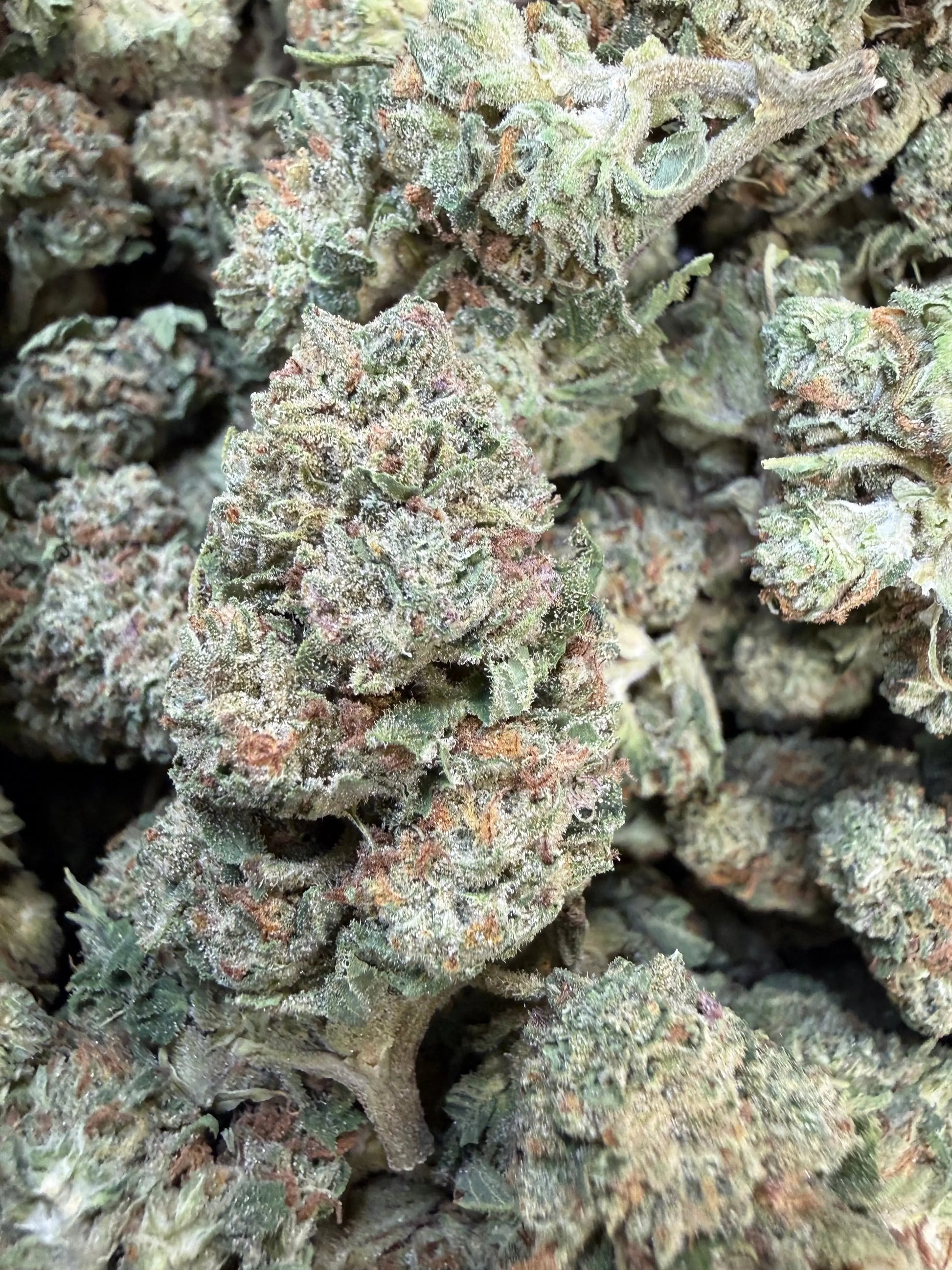 1 Pound of Strawberry Gelato THCA FL Fulfillment Center