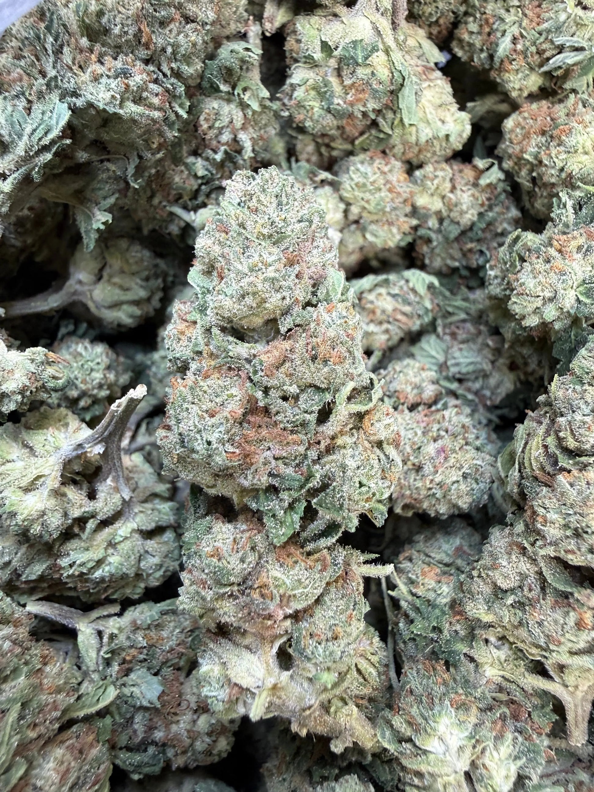 1 Pound of Strawberry Gelato THCA FL Fulfillment Center