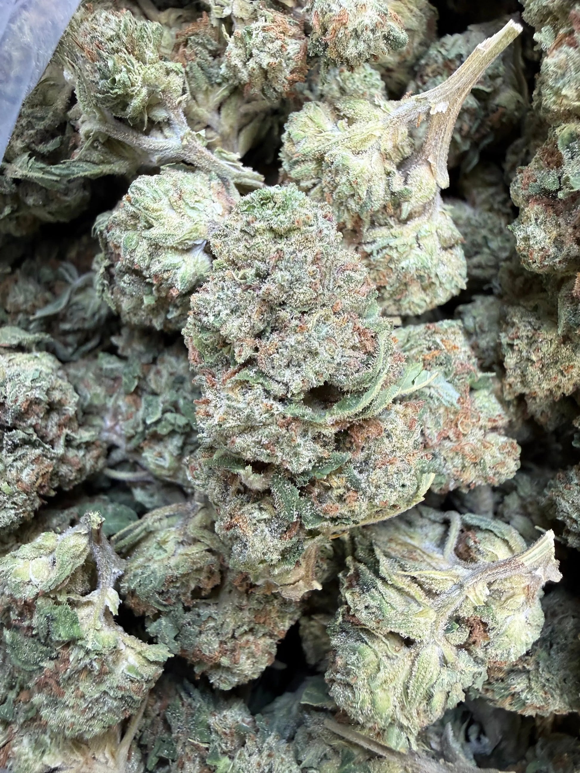 1 Pound of Strawberry Gelato THCA FL Fulfillment Center