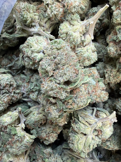 1 Pound of Strawberry Gelato THCA FL Fulfillment Center
