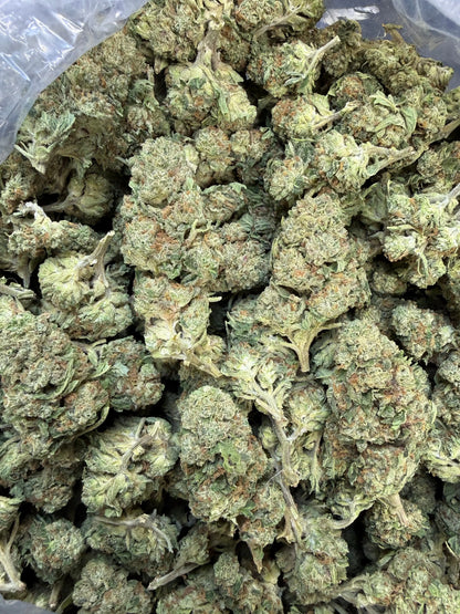 1 Pound of Strawberry Gelato THCA FL Fulfillment Center