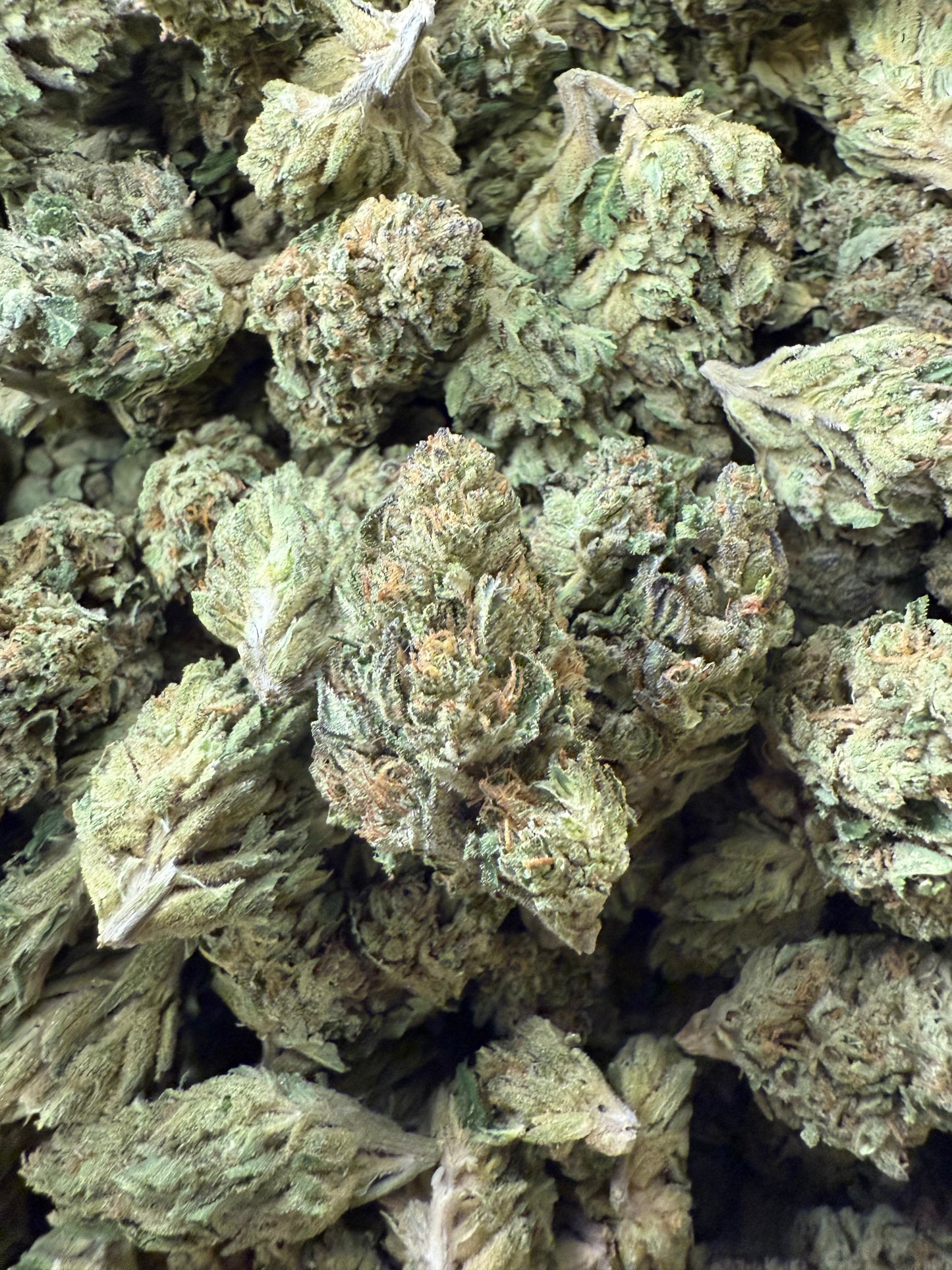 1 Pound of Triangle Kush THCA FL Fulfillment Center