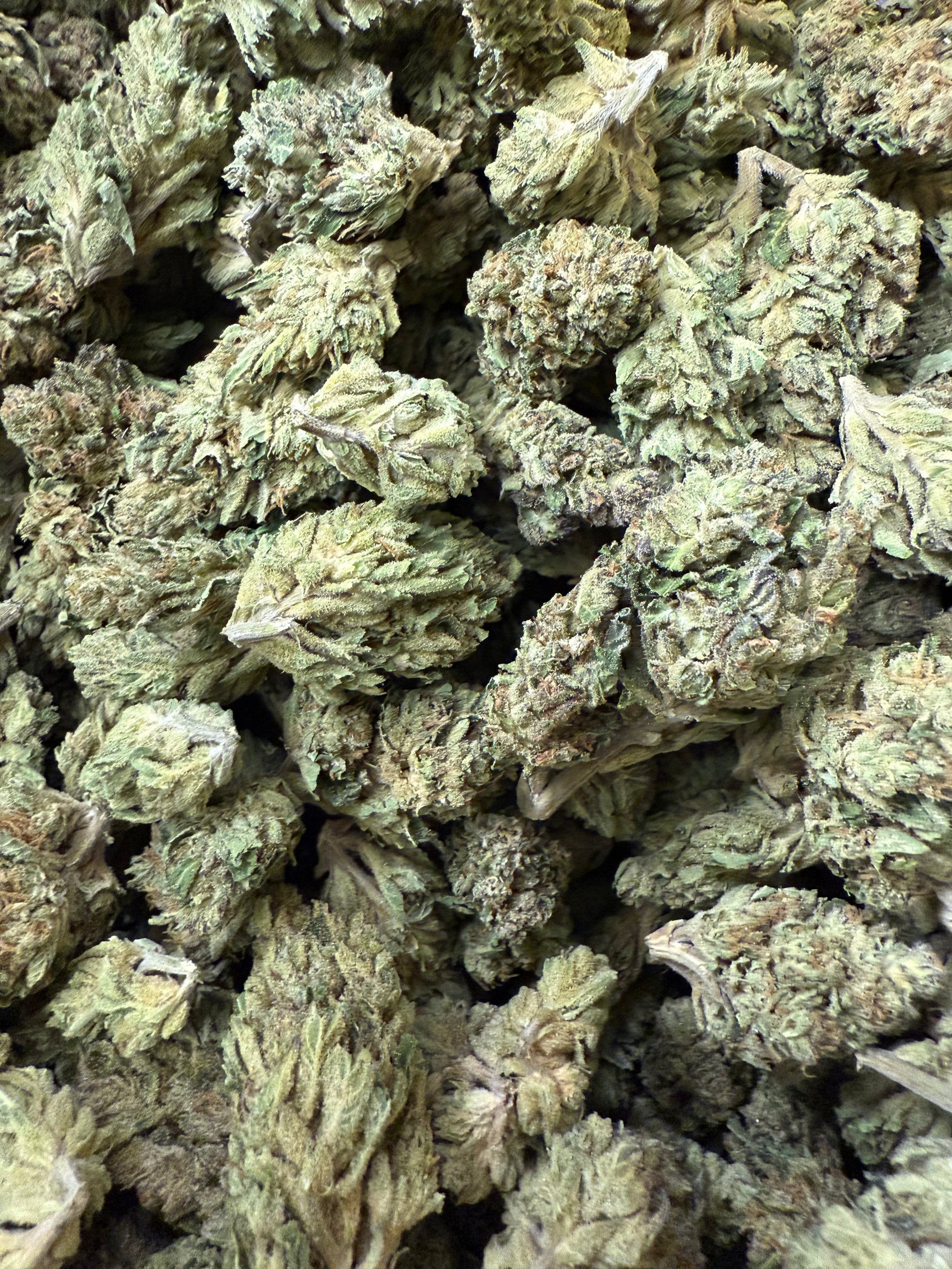 1 Pound of Triangle Kush THCA FL Fulfillment Center