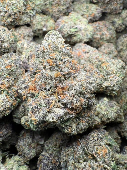 ½ oz AAA White Runtz (Indoor) FL Fulfillment Center