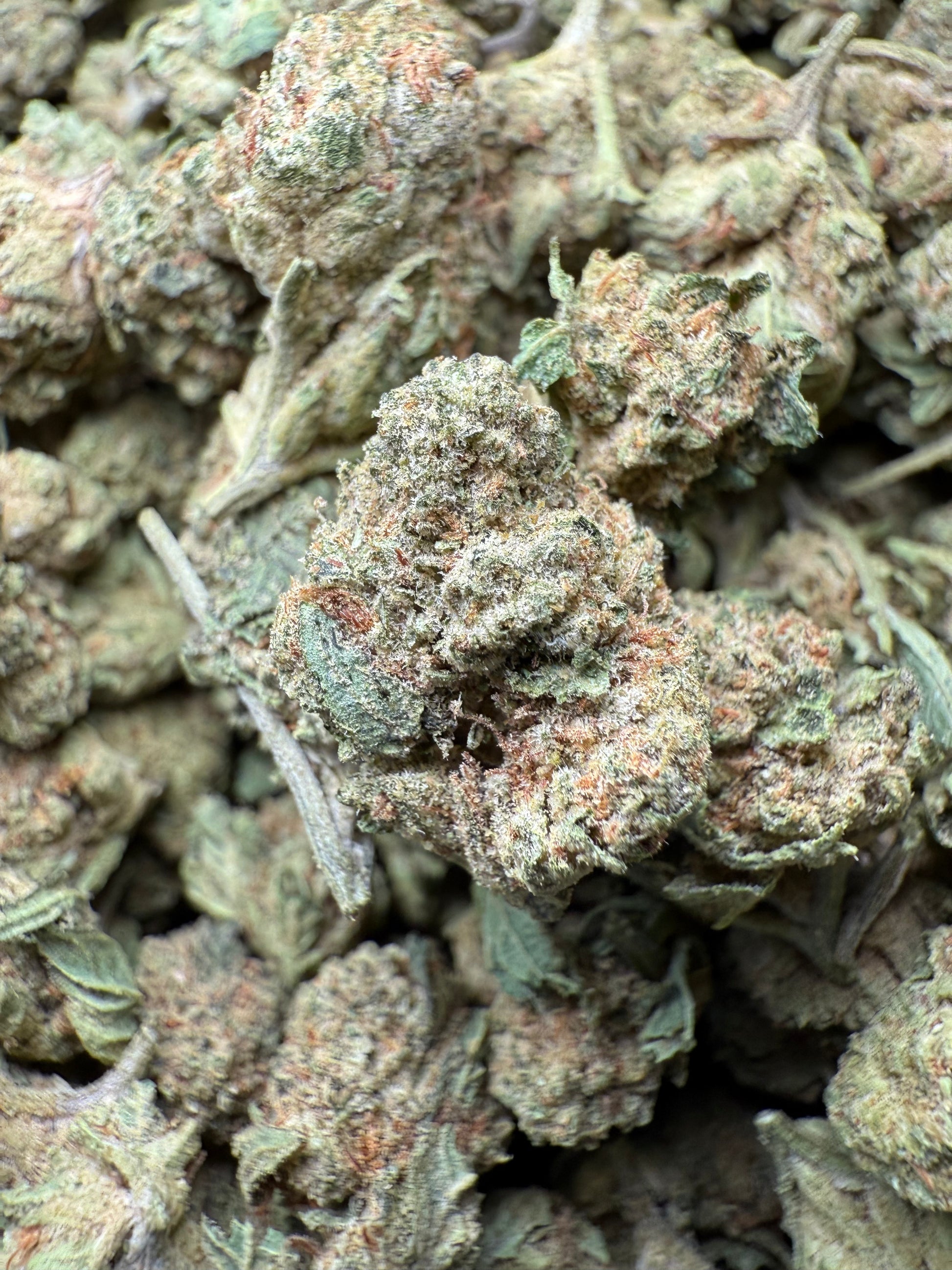 1 Pound - Bubble Gum THCA Strain (Small) Frisco Labs