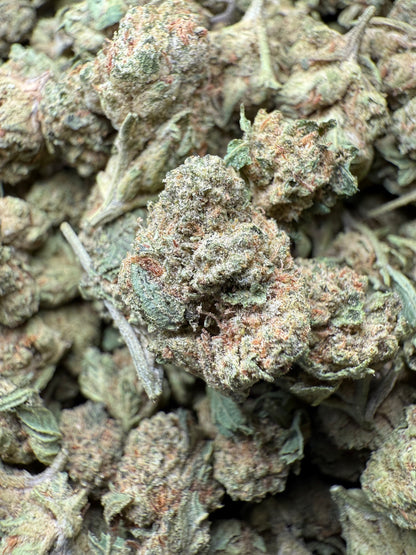 1 Pound - Bubble Gum THCA Strain (Small) Frisco Labs