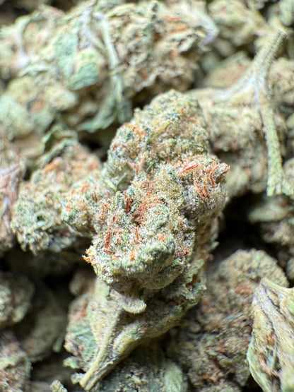 1 Pound - Bubble Gum THCA Strain (Small) Frisco Labs