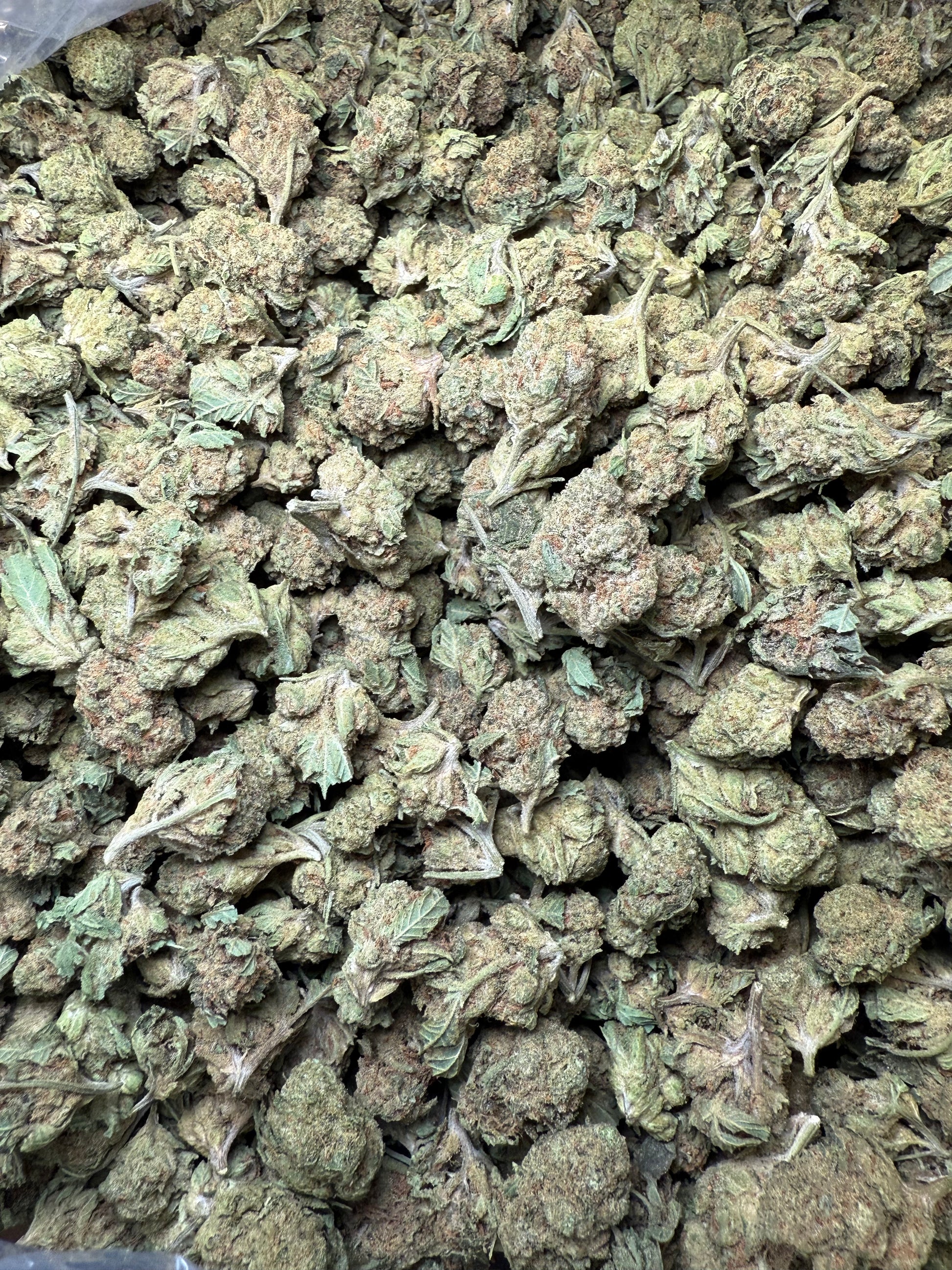 1 Pound - Bubble Gum THCA Strain (Small) Frisco Labs