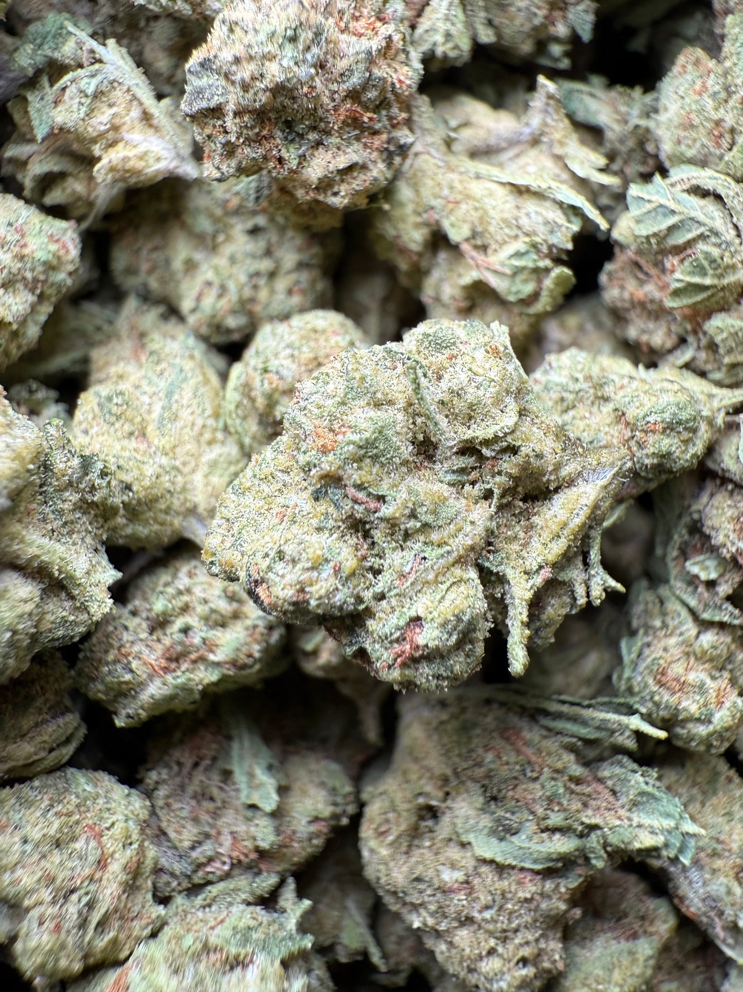 1 Pound - Bubble Gum THCA Strain (Small) Frisco Labs