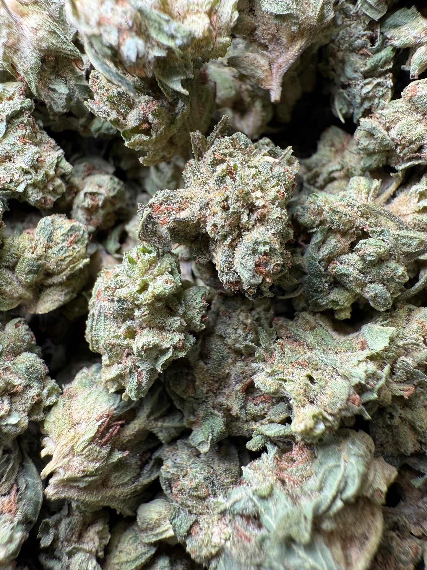 1 Pound - Chem Sorbet THCA Strain (Small) Frisco Labs