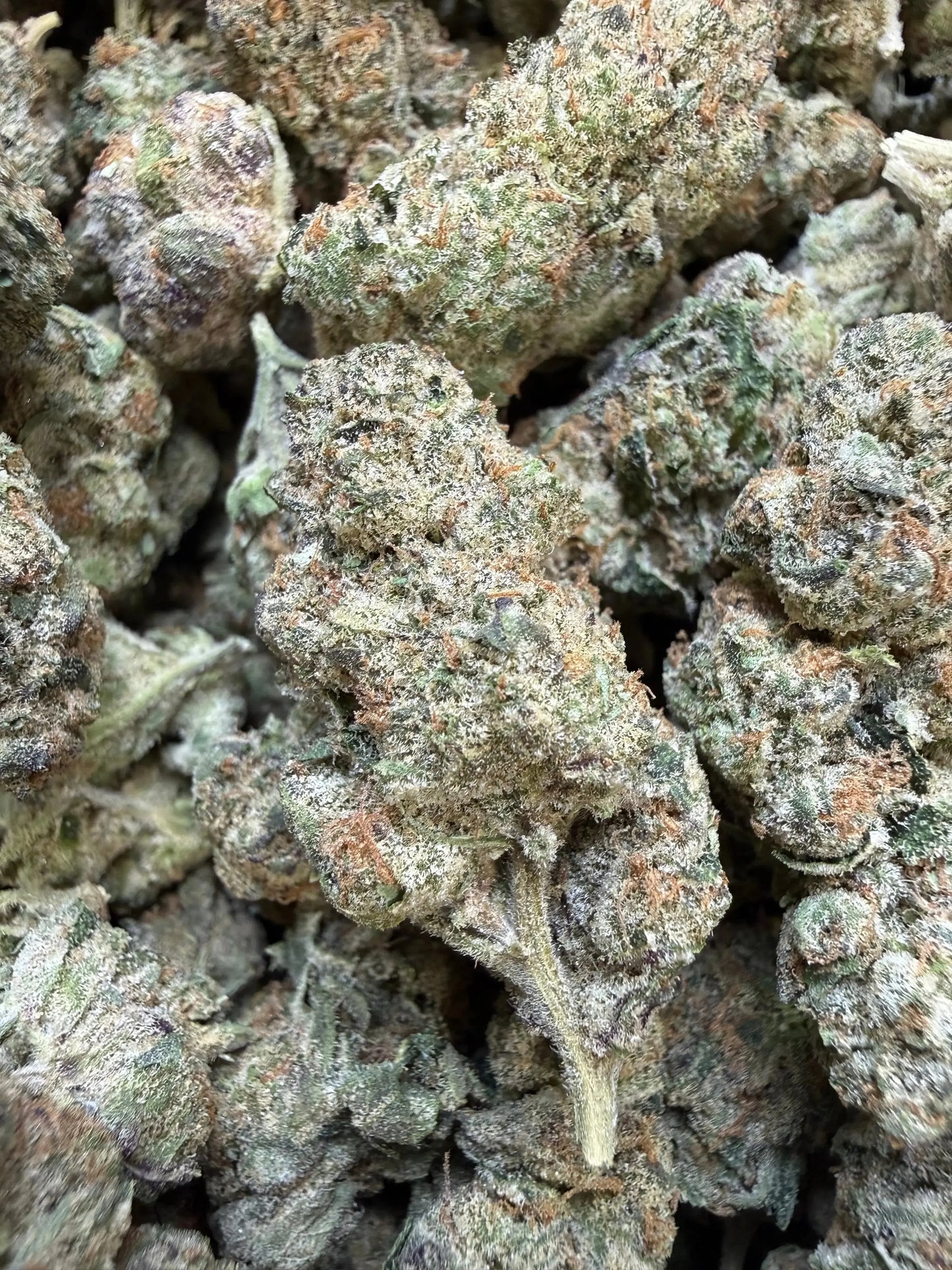 1 Pound - Electra Ice THCA Strain Frisco Labs