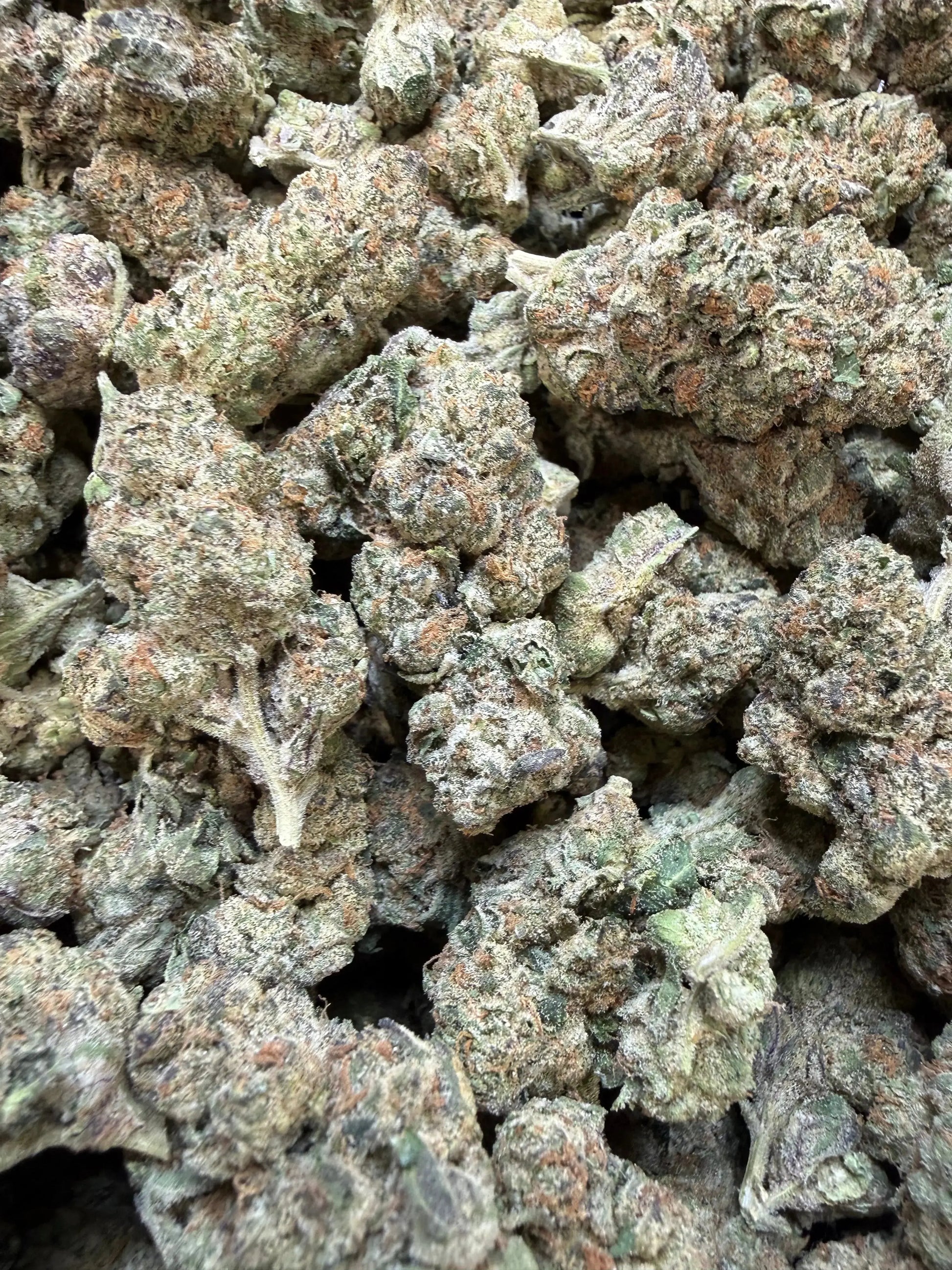 1 Pound - Electra Ice THCA Strain Frisco Labs