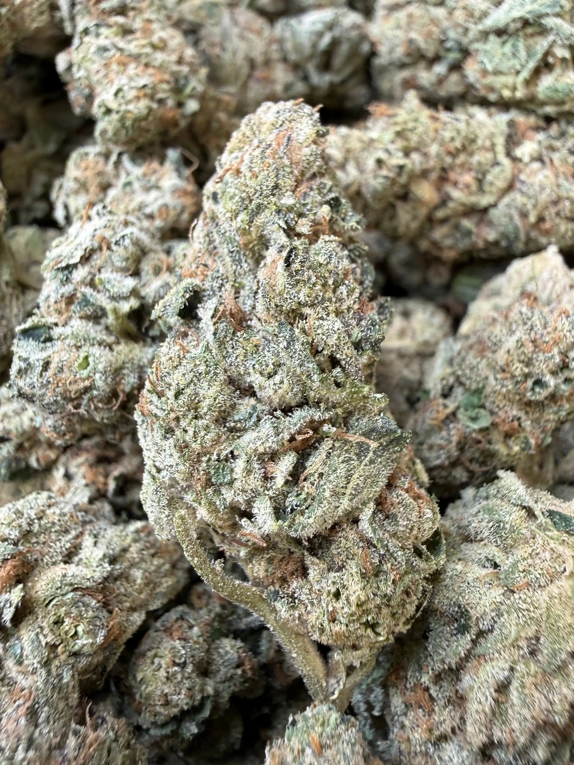 1 Pound - Ice Cream Pie THCA Strain Frisco Labs