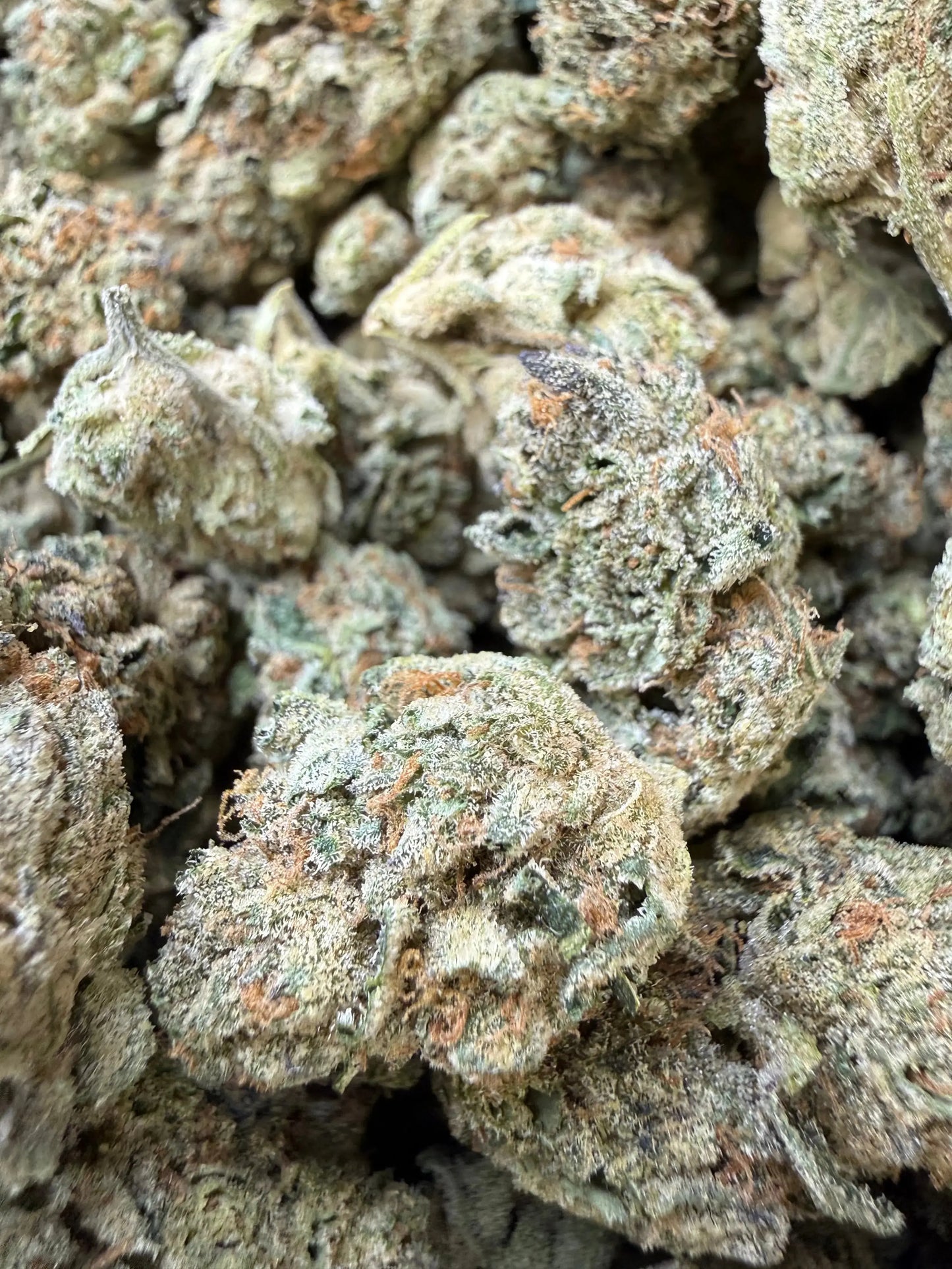 1 Pound - Ice Cream Pie THCA Strain Frisco Labs