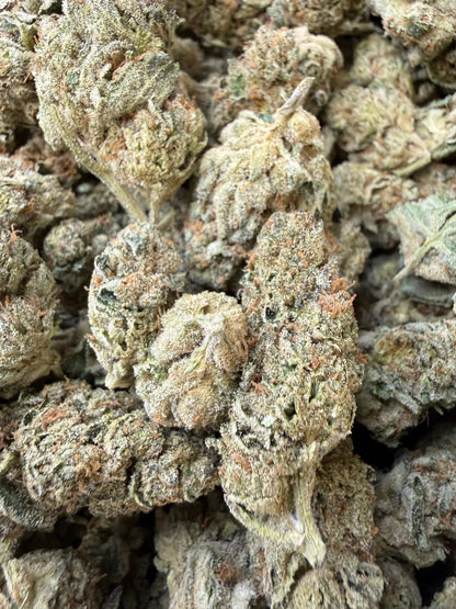 1 Pound - Ice Cream Pie THCA Strain Frisco Labs