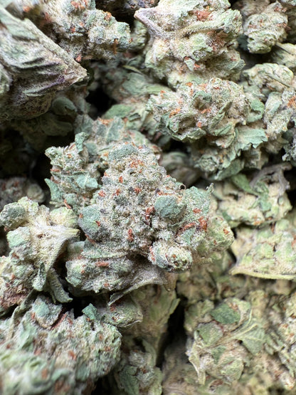 1 Pound - Super Sonic THCA Strain (Small) Frisco Labs