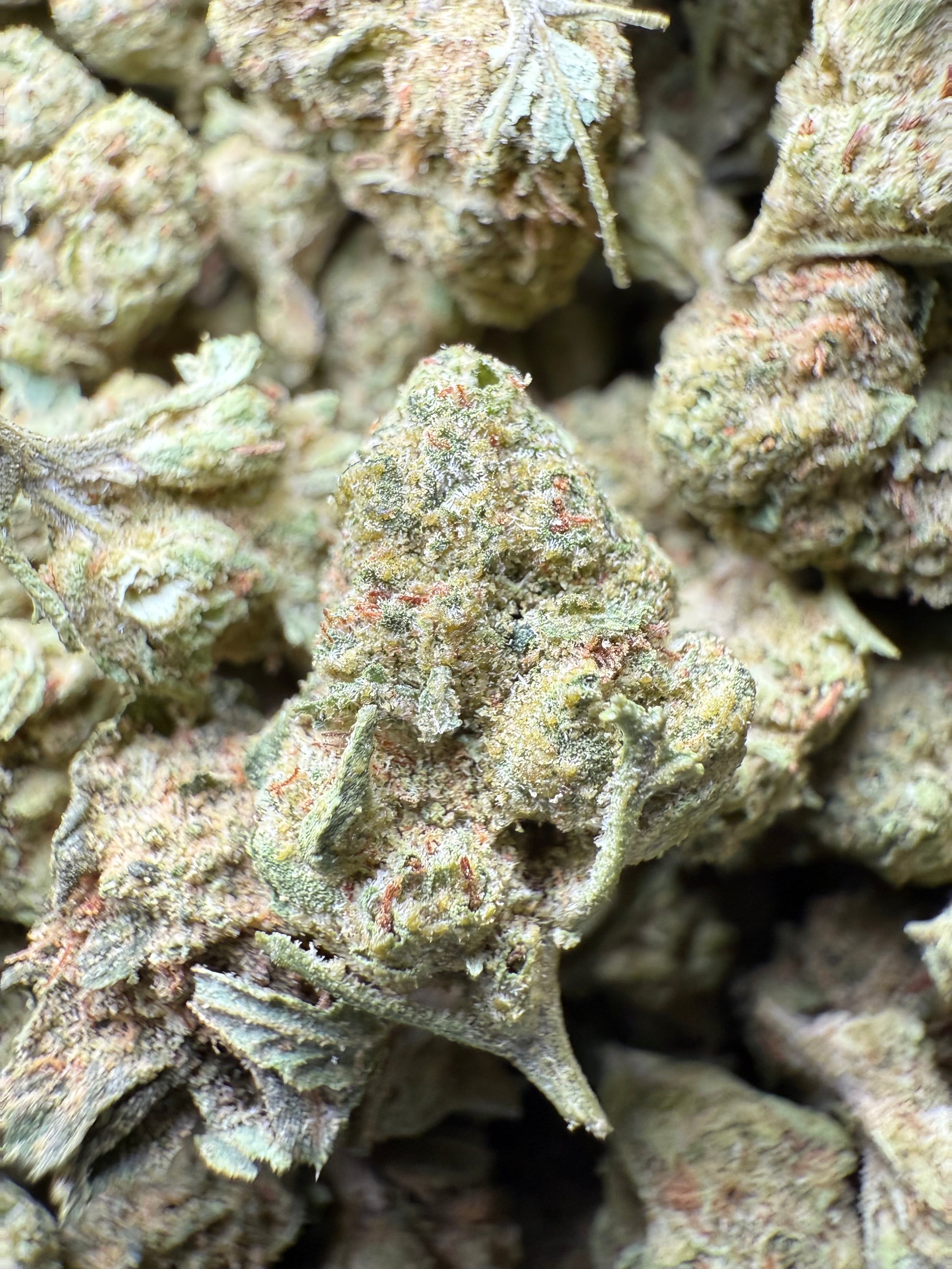 1 Pound - Super Sonic THCA Strain (Small) Frisco Labs