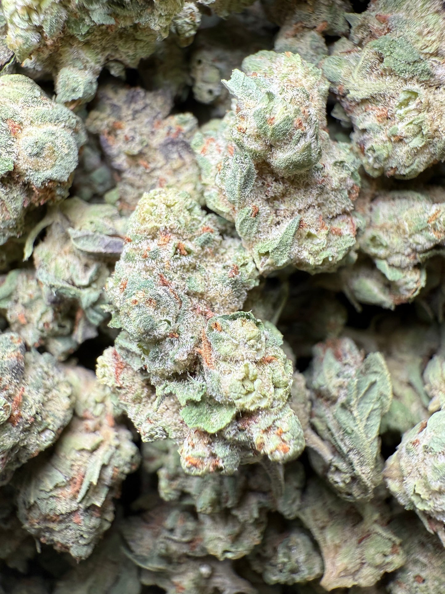 1 Pound - Super Sonic THCA Strain (Small) Frisco Labs