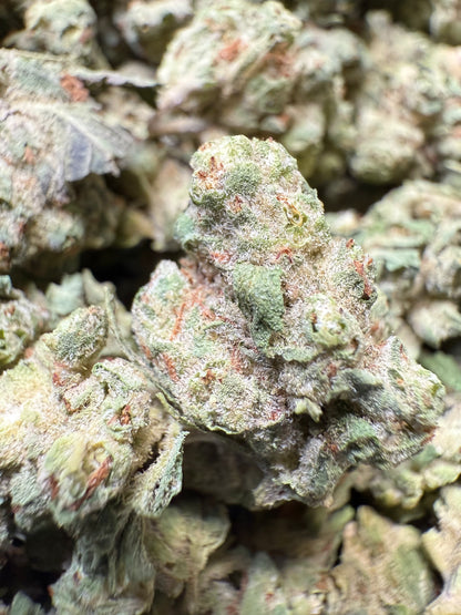 1 Pound - Super Sonic THCA Strain (Small) Frisco Labs