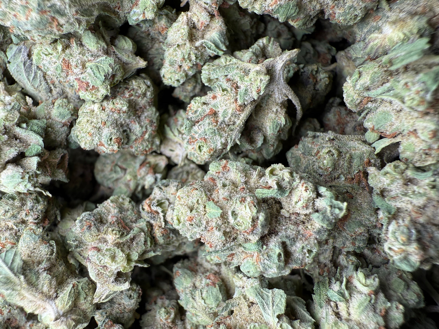 1 Pound - Super Sonic THCA Strain (Small) Frisco Labs