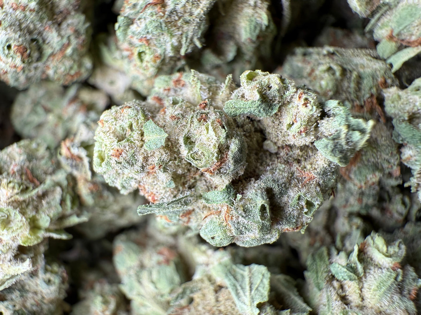 1 Pound - Super Sonic THCA Strain (Small) Frisco Labs