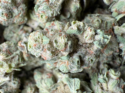 1 Pound - Super Sonic THCA Strain (Small) Frisco Labs