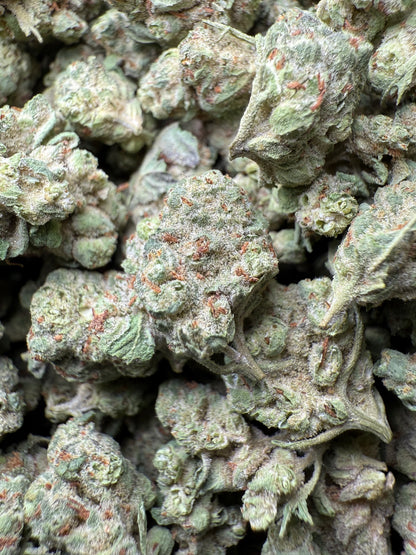 1 Pound - Super Sonic THCA Strain (Small) Frisco Labs