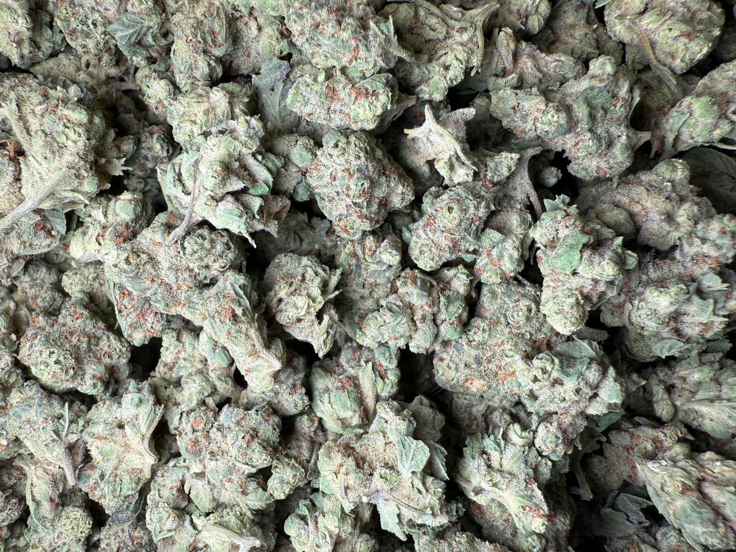 1 Pound - Super Sonic THCA Strain (Small) Frisco Labs