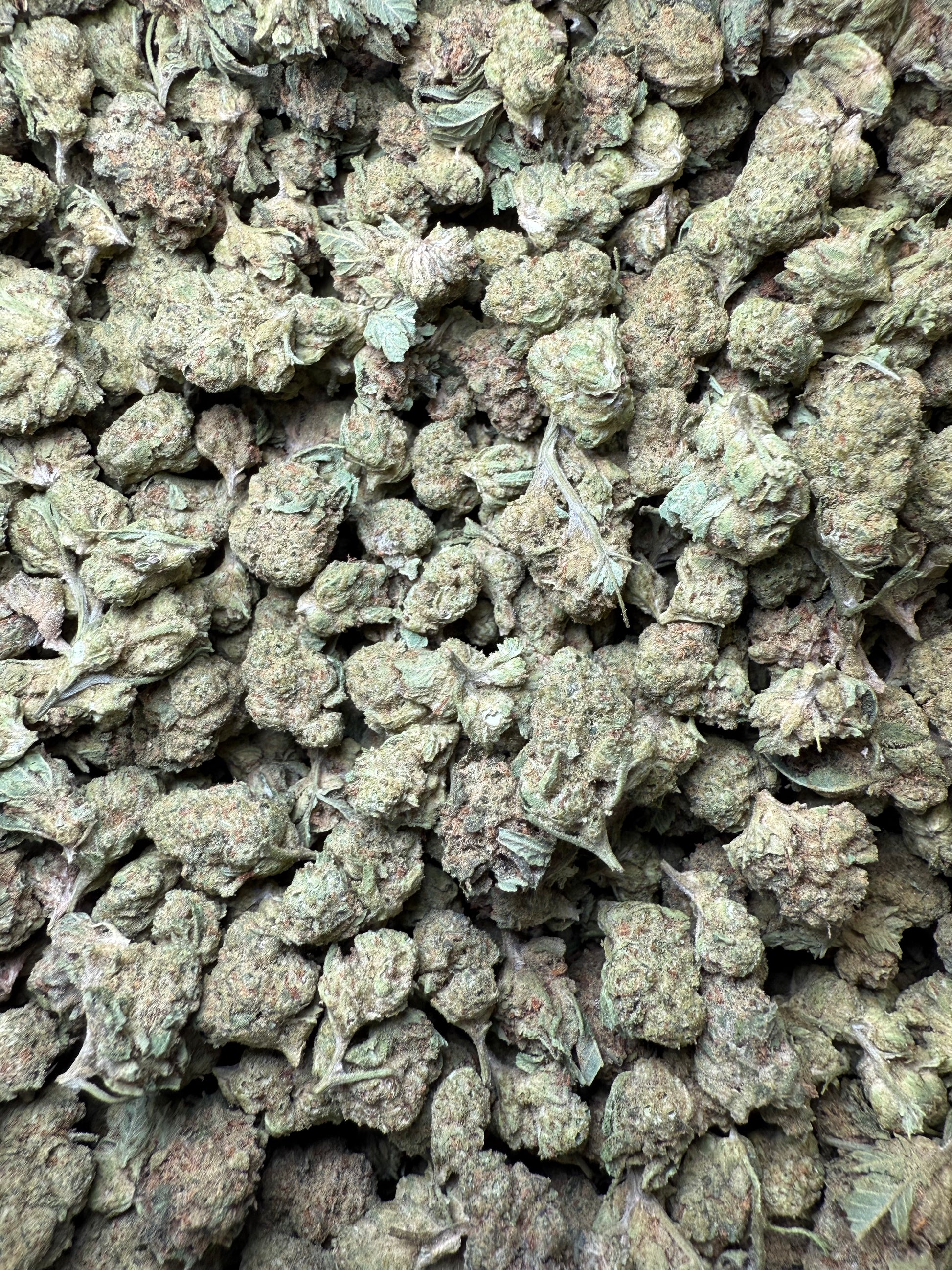 1 Pound - Super Sonic THCA Strain (Small) Frisco Labs