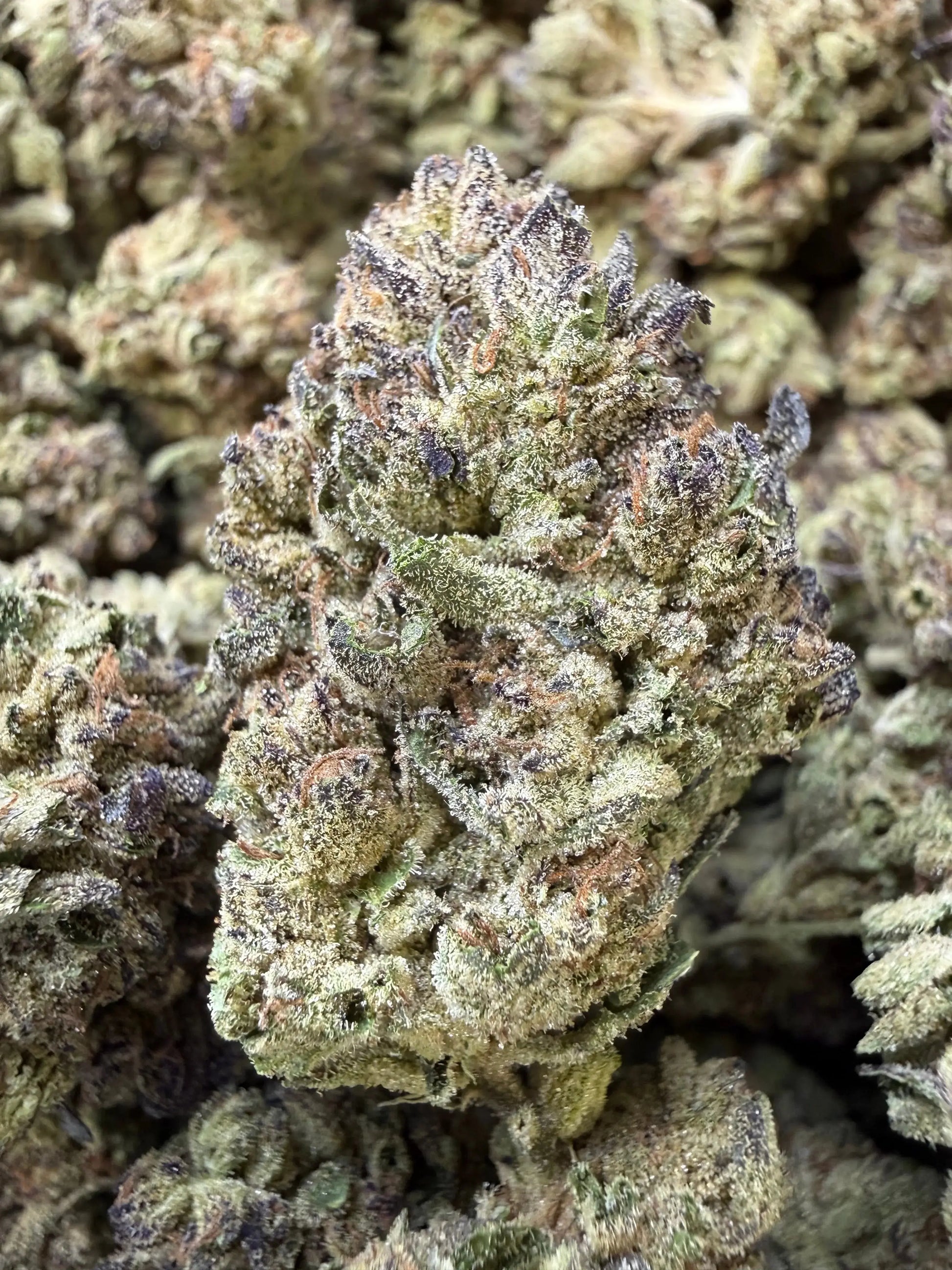 1/4 Pound - Cake Melt THCA Strain Frisco Labs