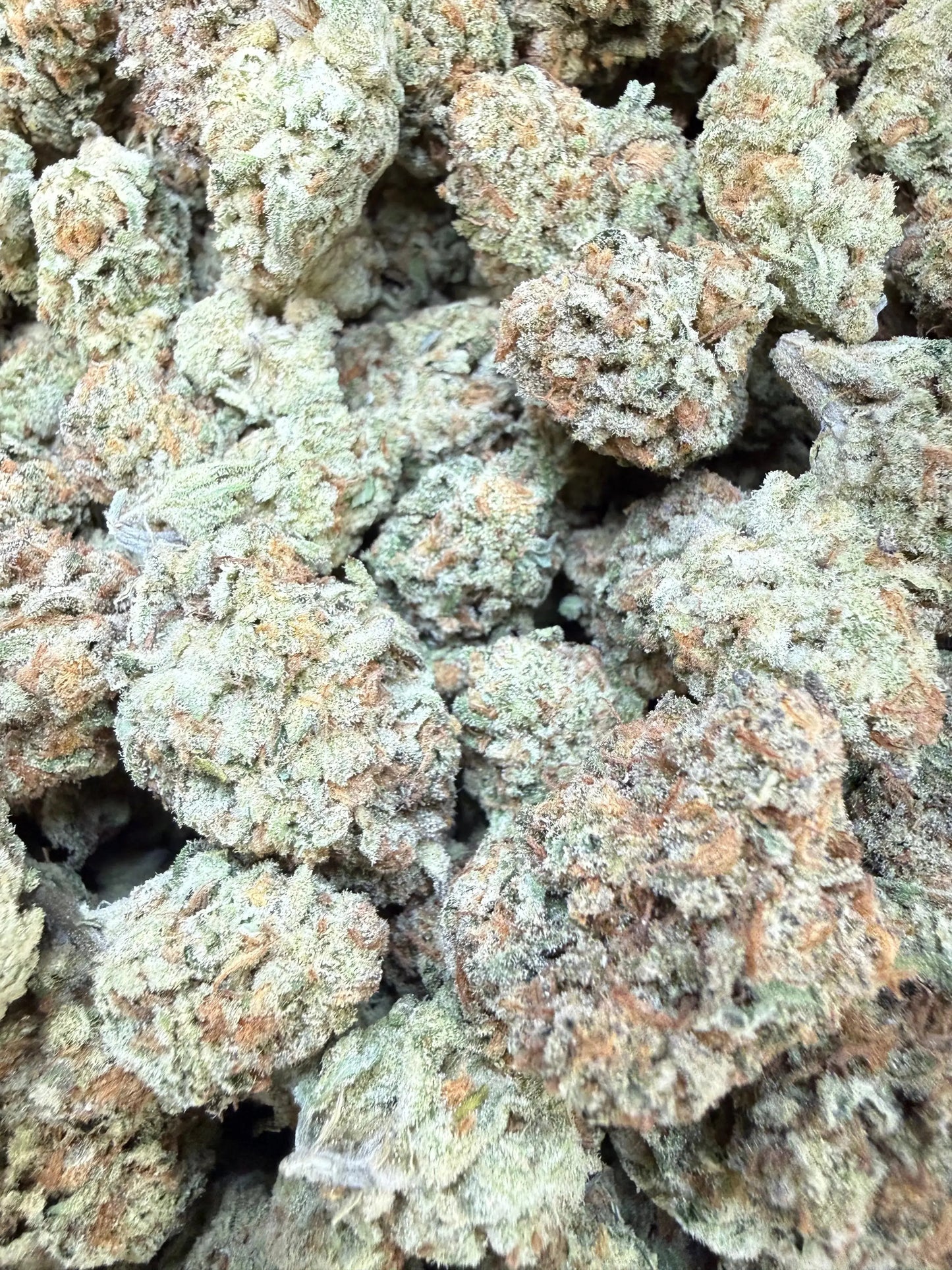 1/4 Pound - Golden Papaya THCA Strain Frisco Labs