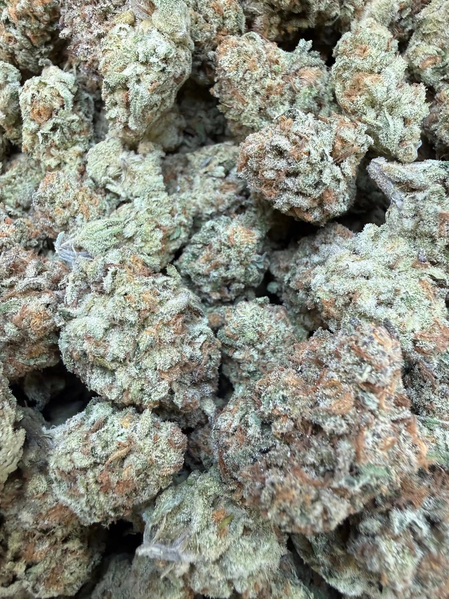 1/4 Pound - Golden Papaya THCA Strain Frisco Labs