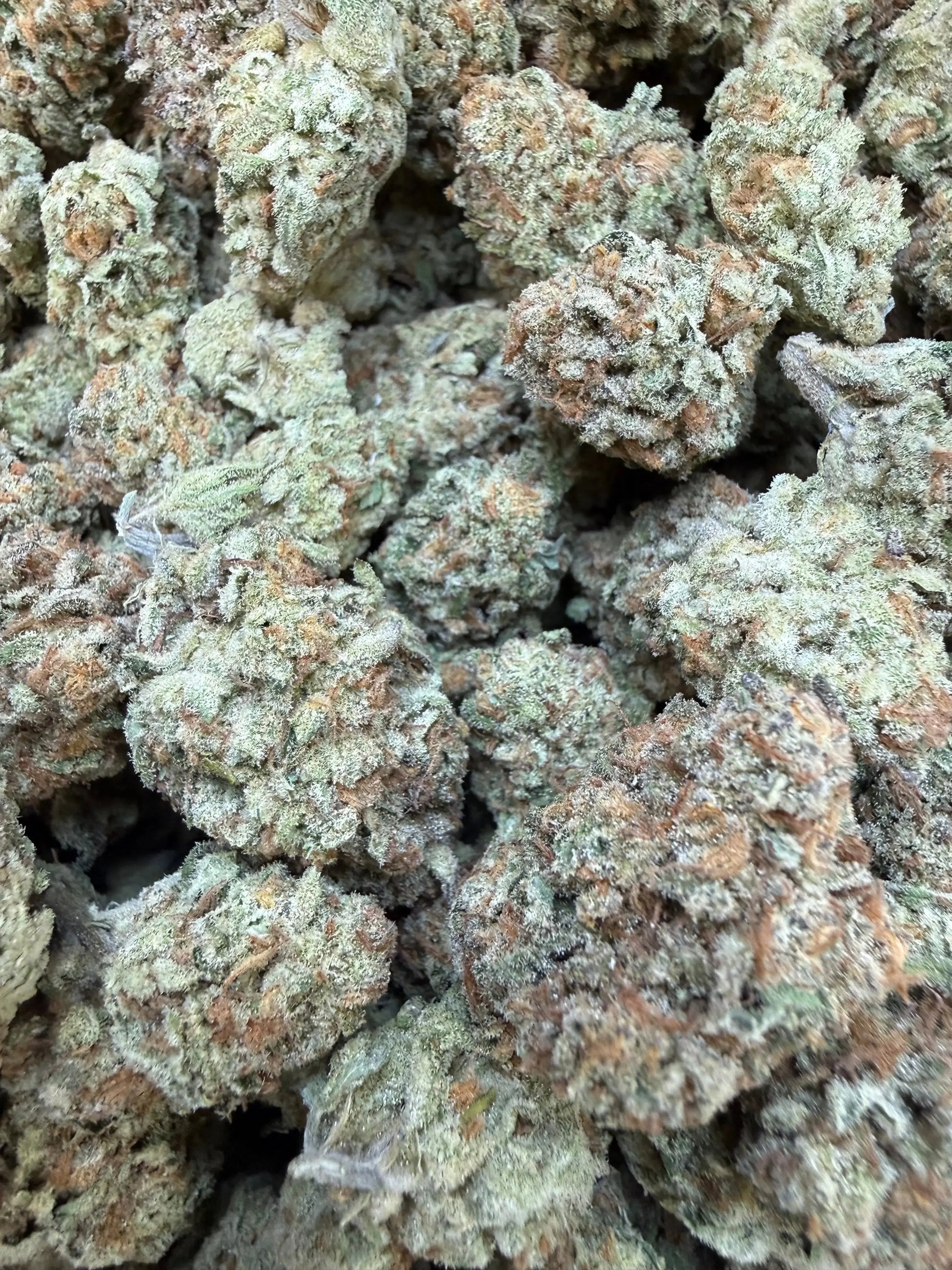 1/4 Pound - Golden Papaya THCA Strain Frisco Labs