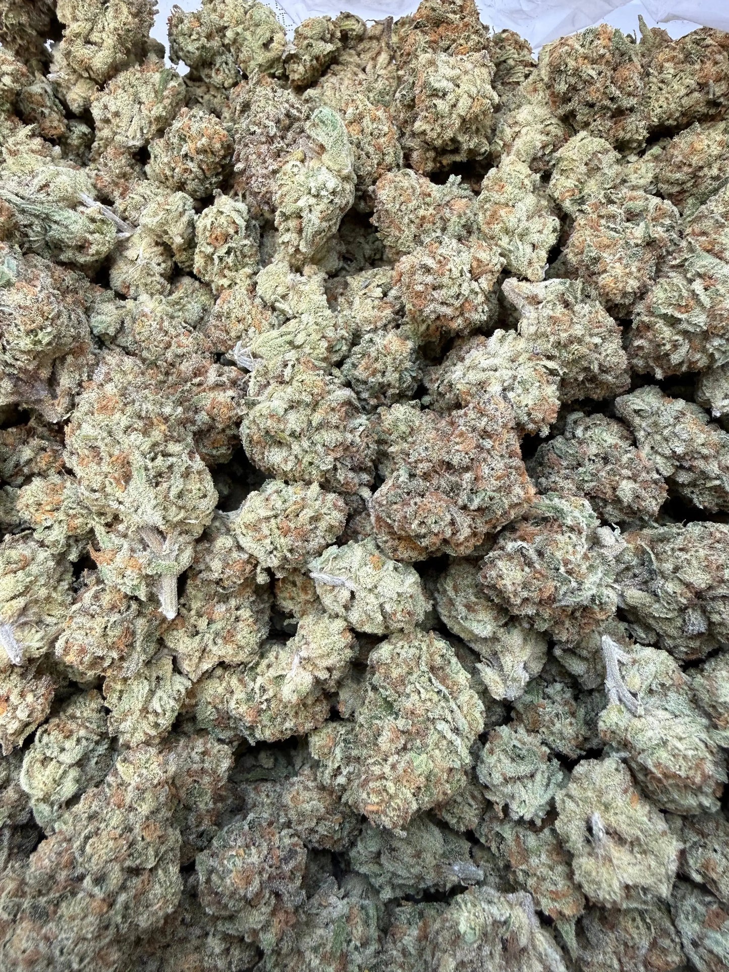 1/4 Pound - Golden Papaya THCA Strain Frisco Labs