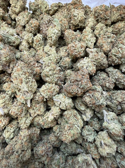 1/4 Pound - Golden Papaya THCA Strain Frisco Labs