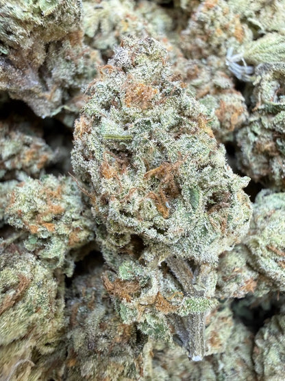 1/4 Pound - Golden Papaya THCA Strain Frisco Labs