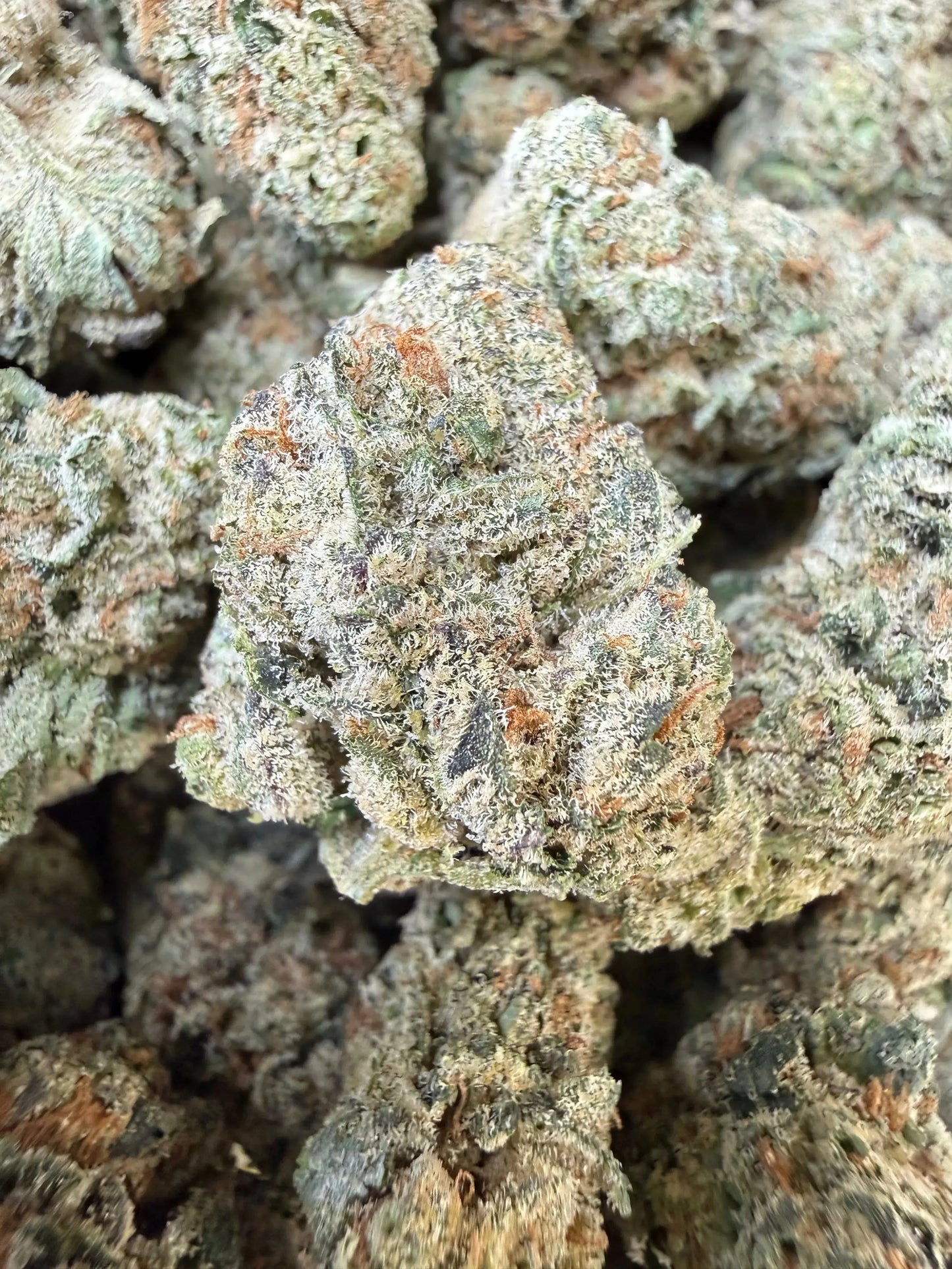 1/4 Pound -  Sherb Cake THCA Strain Frisco Labs