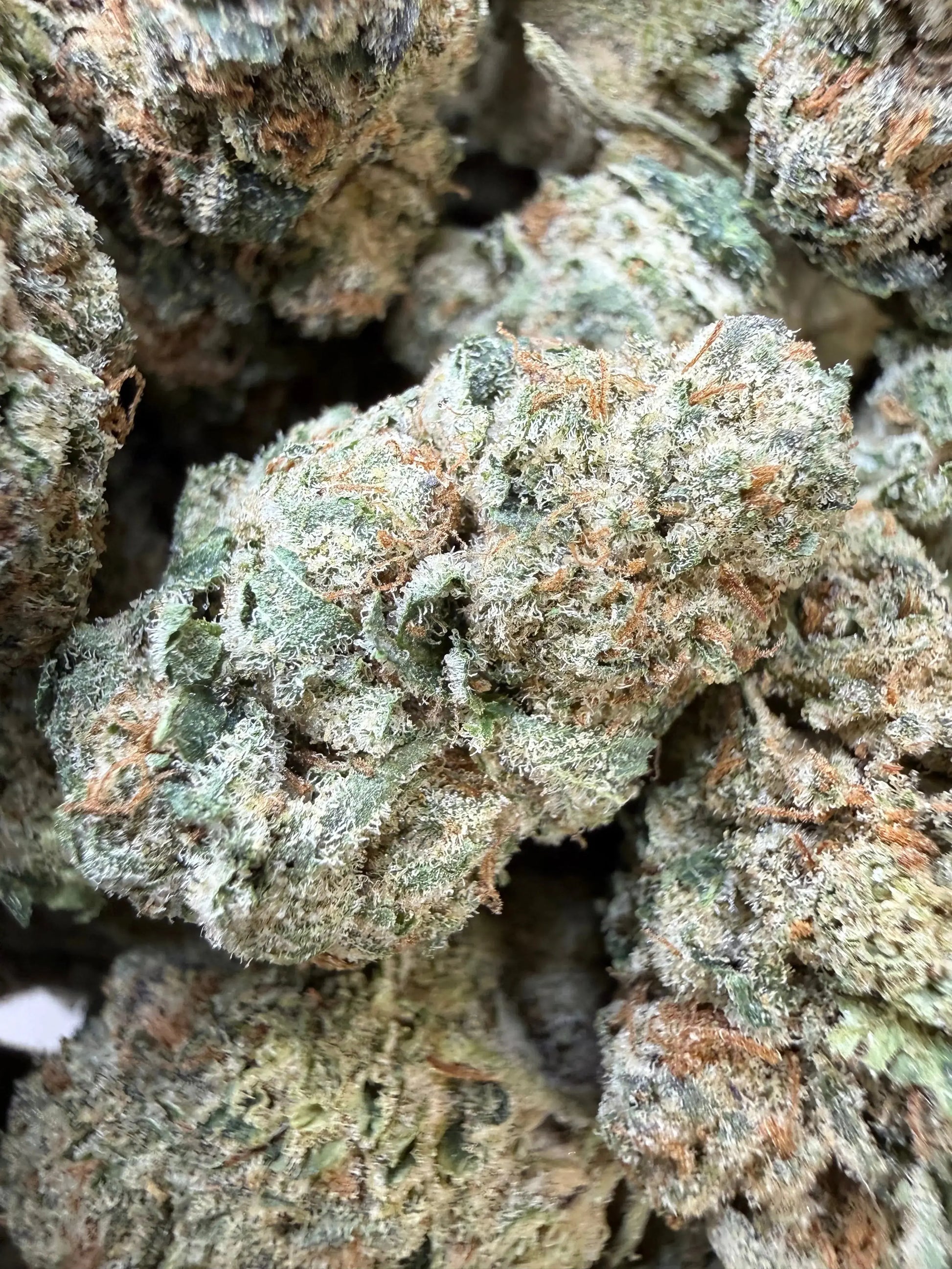 1/4 Pound -  Sherb Cake THCA Strain Frisco Labs