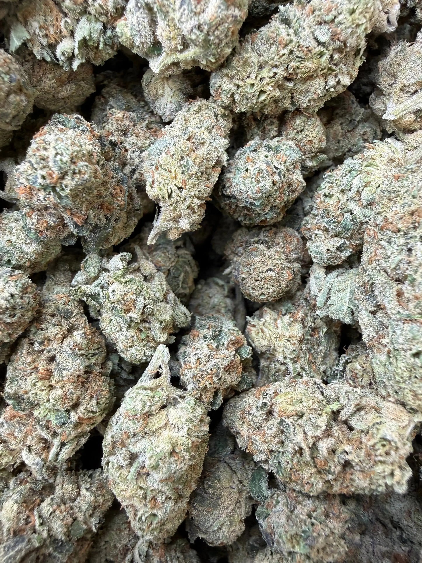 1/4 Pound -  Sherb Cake THCA Strain Frisco Labs