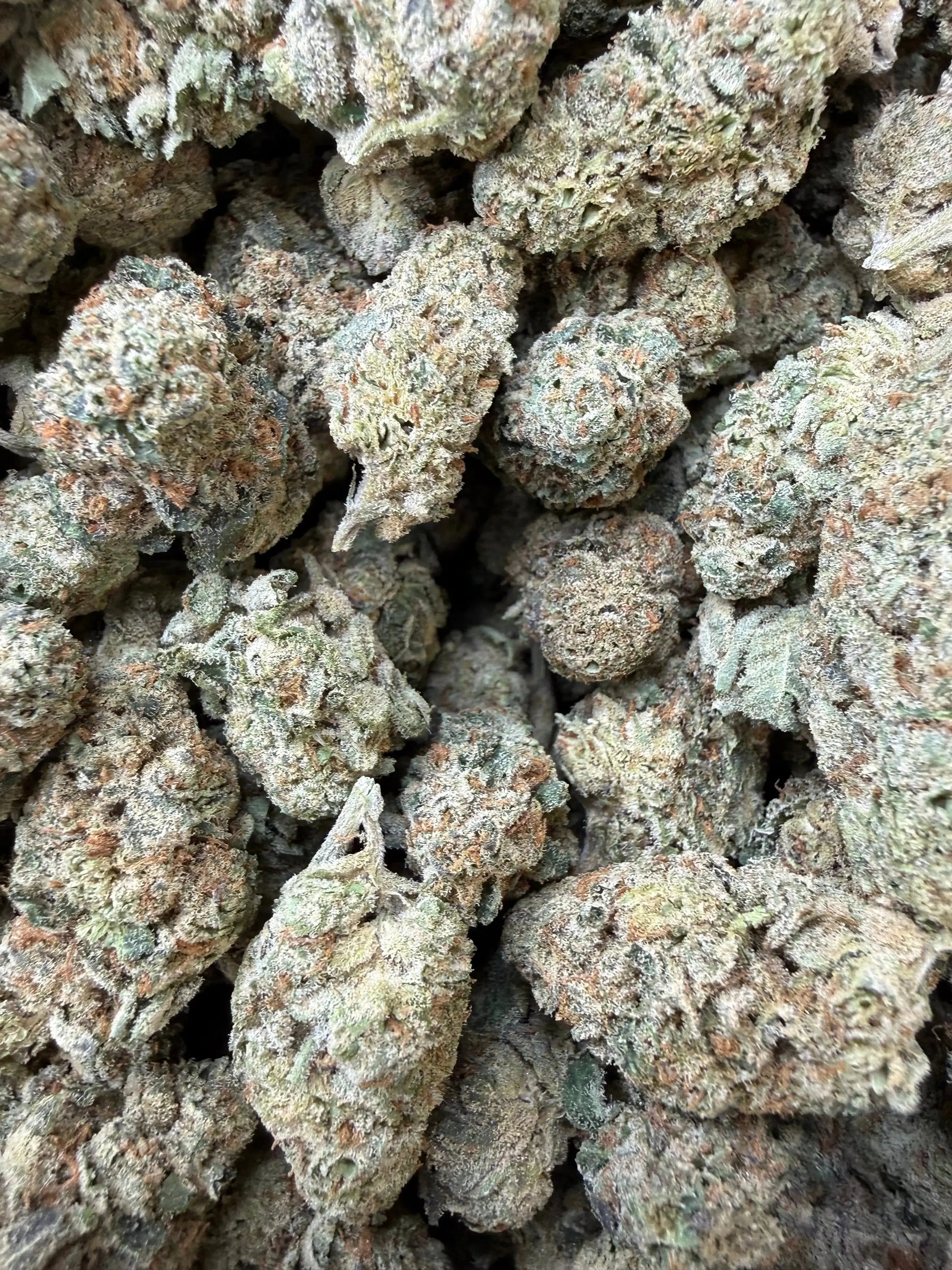 1/4 Pound -  Sherb Cake THCA Strain Frisco Labs