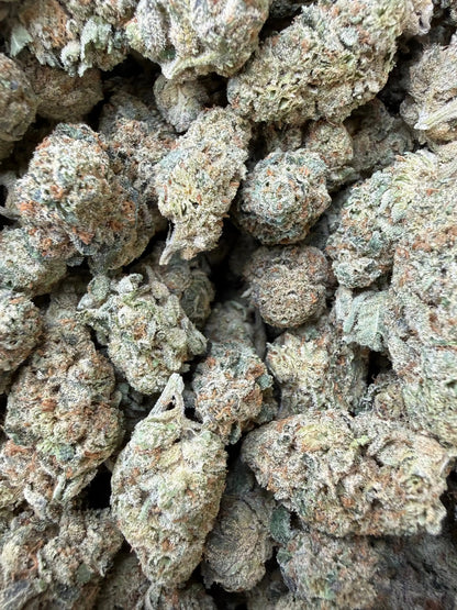 1/4 Pound -  Sherb Cake THCA Strain Frisco Labs