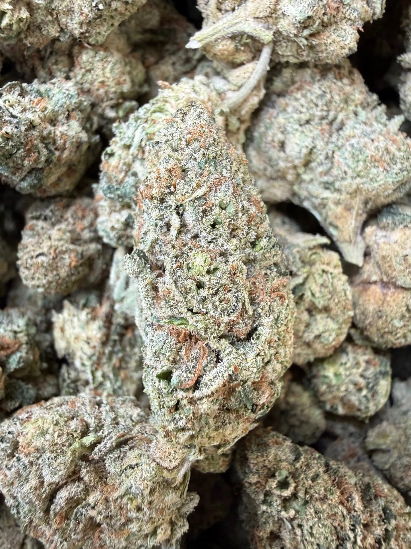 1/4 Pound -  Sherb Cake THCA Strain Frisco Labs