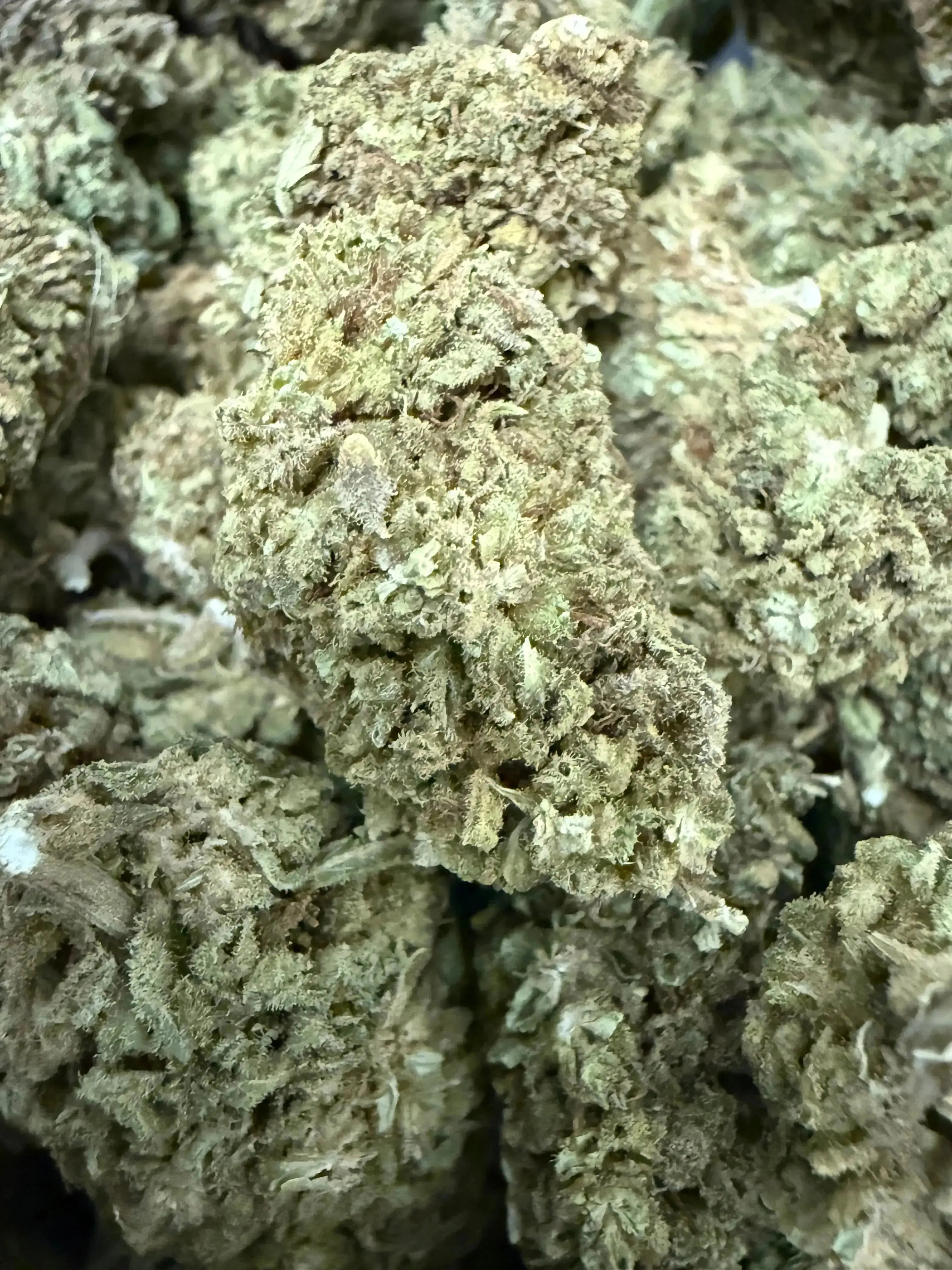 1 Pound CBD Flower (BIGS) - Premium Hand Trimmed