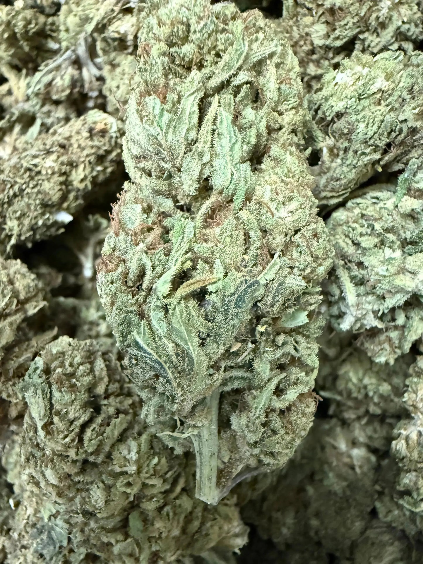1 Pound CBD Flower $200 (BIGS) - Premium Hand Trimmed Frisco Labs