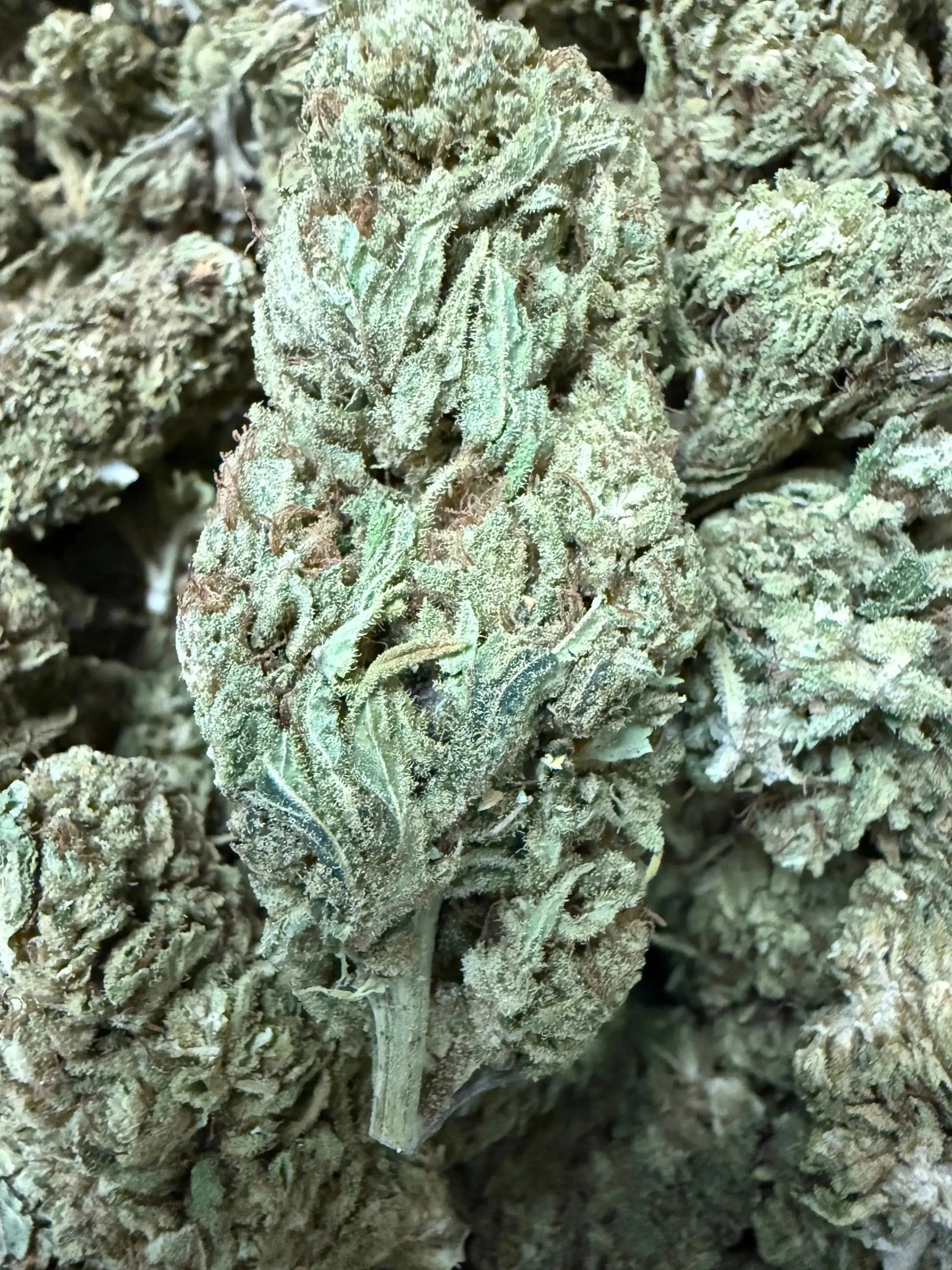 1 Pound CBD Flower $200 (BIGS) - Premium Hand Trimmed Frisco Labs